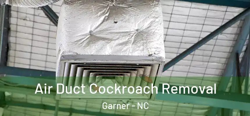  Air Duct Cockroach Removal Garner - NC