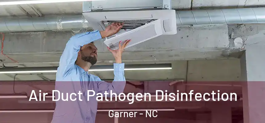  Air Duct Pathogen Disinfection Garner - NC