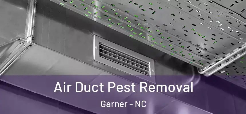  Air Duct Pest Removal Garner - NC