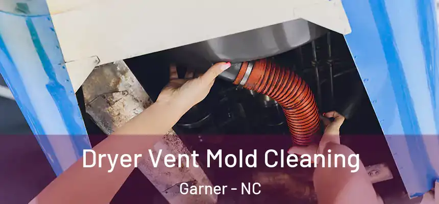 Dryer Vent Mold Cleaning Garner - NC