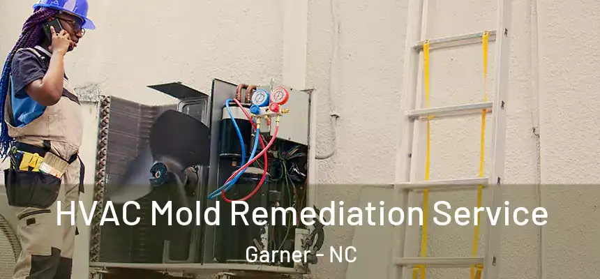 HVAC Mold Remediation Service Garner - NC
