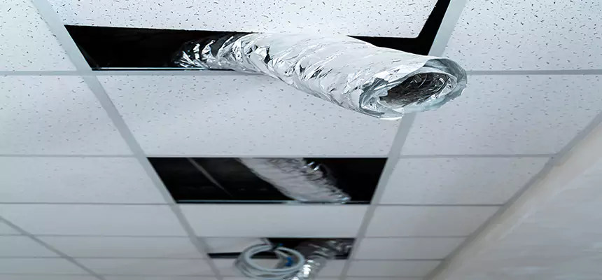 Our Air Duct Pet Hair Removal Services in Garner, NC