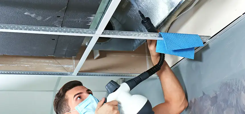 Our Air Duct Rodent Removal Services in Garner, NC
