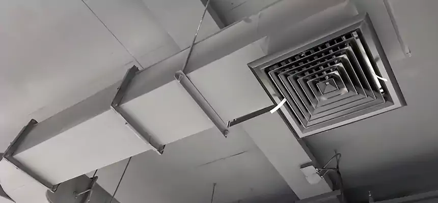 Restorative Allergy Relief Vent Cleaning – Coil, Blower & Housing Detail in Garner