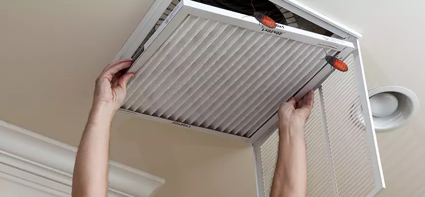 Our Insect Removal from Air Ducts Services in Garner, NC