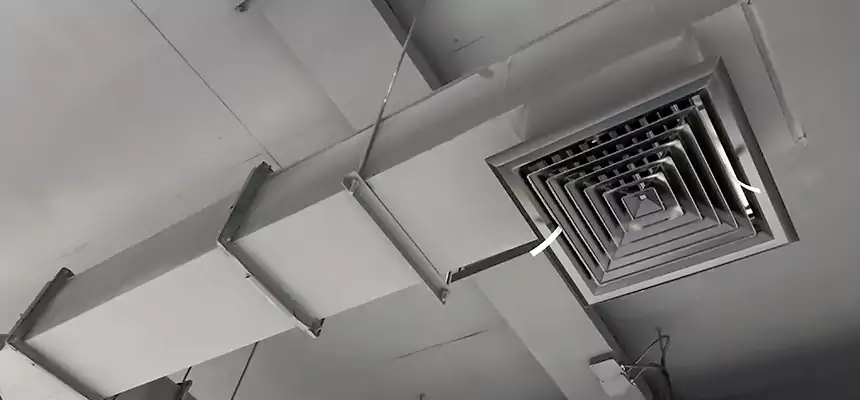 Our Rodent Droppings In Vents Services in Garner, NC