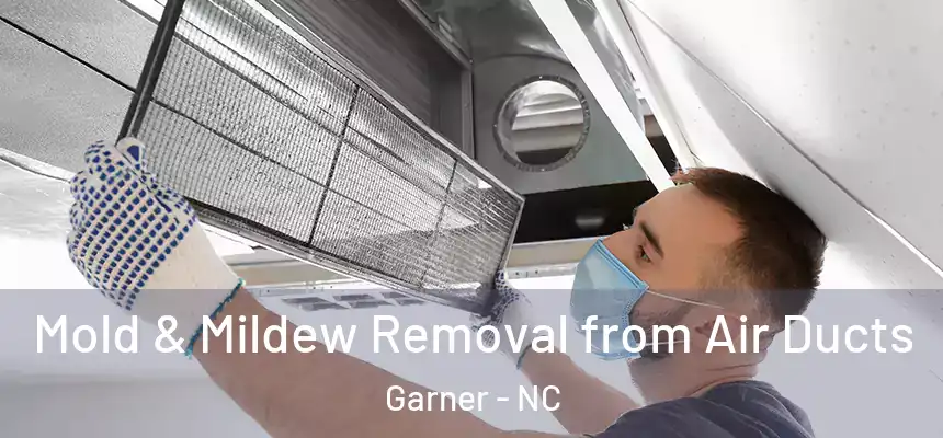 Mold & Mildew Removal from Air Ducts Garner - NC