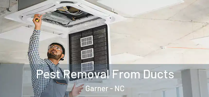  Pest Removal From Ducts Garner - NC