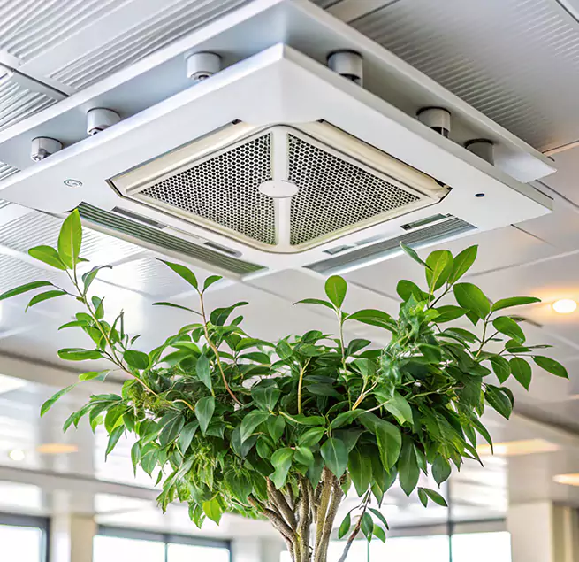 Why Homeowners & Businesses Trust Us in Garner, NC